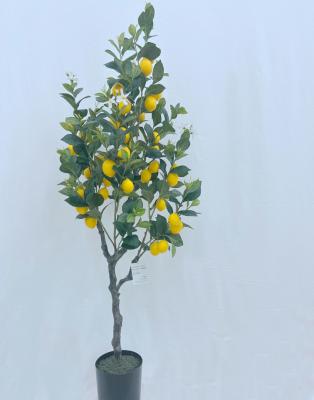 China Factory Direct Home Table Decoration Indoor Decorative Plant Decorations.Gifts.For Plastic Artificial Lemon Tree for sale