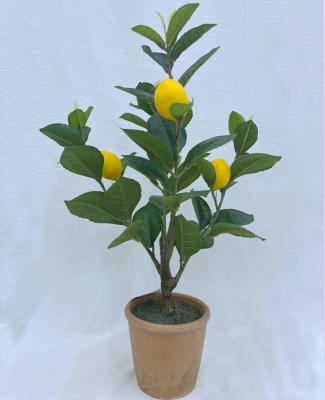 China Factory Direct Home Table Decoration Indoor Decorative Plant Decorations.Gifts.For Plastic Artificial Lemon Tree for sale