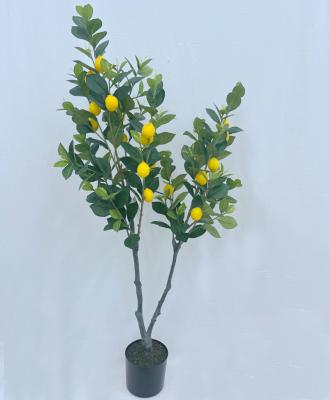 China Factory Direct Home Table Decoration Indoor Decorative Plant Decorations.Gifts.For Plastic Artificial Lemon Tree for sale