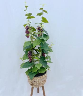 China Home Table Indoor Decorative Fruit Decoration Artificial Grape Vine Decorations.Gifts.For With Leaves Tree Plant for sale