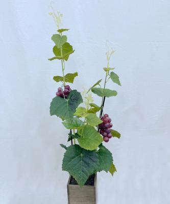 China Home Table Indoor Decorative Fruit Decoration Artificial Grape Vine Decorations.Gifts.For With Leaves Tree Plant for sale