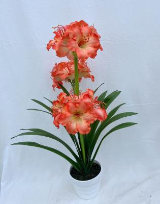 China Decorations.Gifts.For Home Table Indoor Decoration Clivia Minata Flower Artificial Artificial Flowers For Home Decor for sale