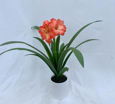 China Decorations.Gifts.For Home Table Indoor Decoration Clivia Minata Flower Artificial Artificial Flowers For Home Decor for sale