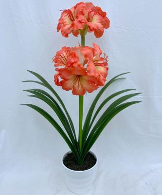 China Decorations.Gifts.For Home Table Indoor Decoration Clivia Minata Flower Artificial Artificial Flowers For Home Decor for sale