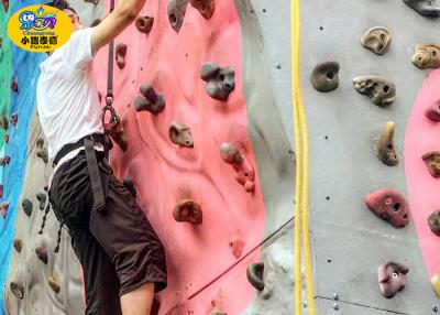 China Colorful Children'S Rock Climbing Wall For Indoor Playground High Physical Strength for sale