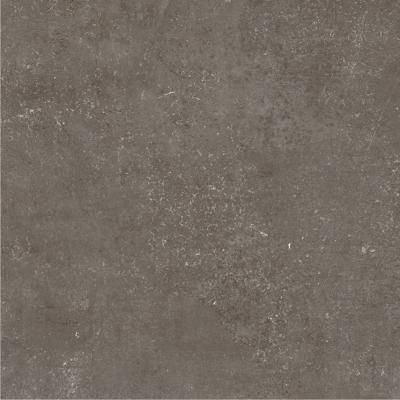 China Grey Color Floor Porcelain 24