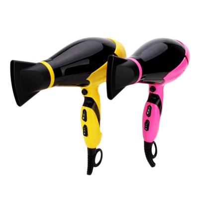 China Hot Selling Special European Ionic Professional Hair Dryer AC Motor Color Hair Salon Hair Styling for sale