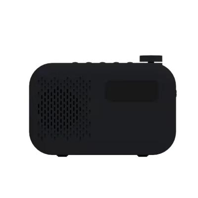 China PORTABLE Hot Sale Product Alarm Mini FM Speakers Receiver Pocket Dab Radio for sale