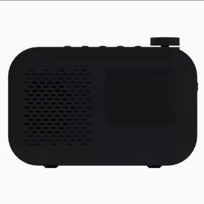 China PORTABLE Factory Direct Color Screen Alarm Clock Fm Digital Dab Multifunctional Portable Radios for sale