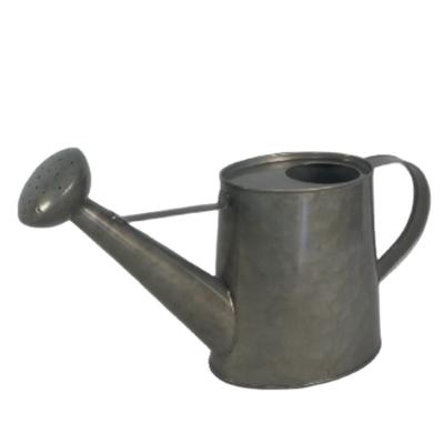 China Modern Vintage Style Factory Price Promotional Clearance Galvanized Tin 0.5 Gallon Watering Can For Flowers for sale