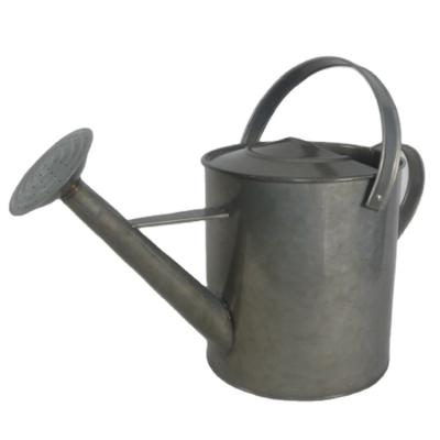 China New Fashion Design Wholesale Classic Simple Style 1.8 Gallon Watering Can Spray For House Outdoor And Indoor Plants for sale