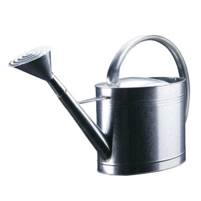 China ECO-frendly high quality customization technology eco-friendly production watering can silver for indoor outdoor plants for sale