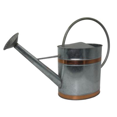 China New Style Durable Classic Design Fashion Pots Silver Cheap Watering Cans For Indoor Garden Plants Flowers for sale