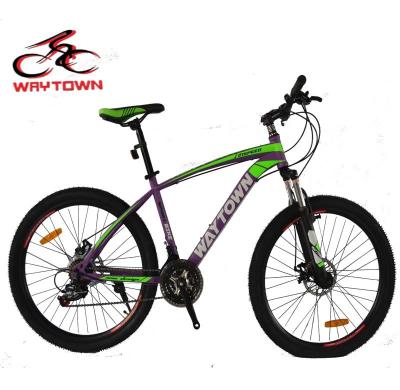 China HOT SELLING NEW MODEL MTB steel WTB-26MS32 BIKE for sale