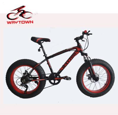 China Wholesale Aluminum Alloy Customize 20 Inch 7 Speed ​​Alloy Fat Tire Mountain Bike , KIDS BIKE for sale