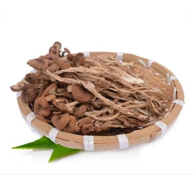 China Chinese Dry Dried Vegetable Tea Tree Mushroom for sale