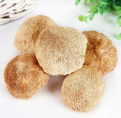 China Air dry dried lion's mane /hericium erinaceus mushroom natural for sale