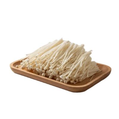 China Healthy fresh china enoki mushroom for sale