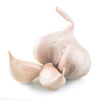 China Fresh Best Quality China Fresh Garlic for sale