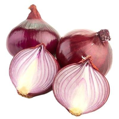 China Best quality fresh onion at wholesale prices for sale