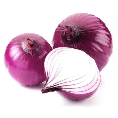 China The hot sale fresh red onion cultivation of fine vegetable products of the best quality fresh at the best market price sold in bulk for sale