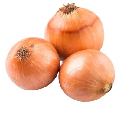 China Natural Yellow Fresh Onion New China Culture Fresh for sale