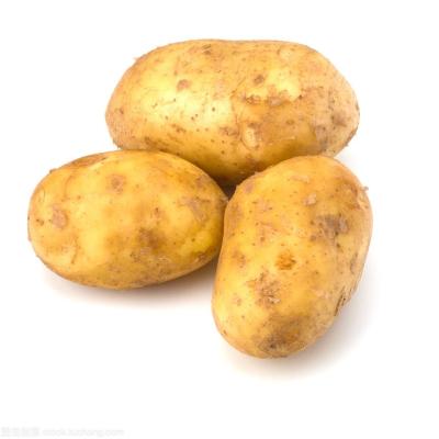 China HOT selling fresh POTATO FRESH potatoes in bulk for sale