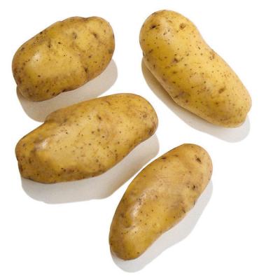 China China New Season Fresh Potato Wholesale Fresh Potato Vegetables Export for sale