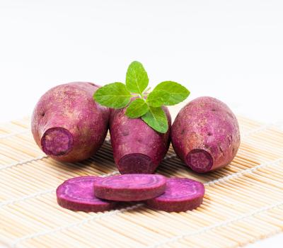 China FRESH FRESH PURPLE SWEET POTATO - TOP CHEAP PRICE for sale