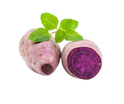 China Sweet Potato 100% Organic Purple Sweet Potato (Purple) Cultivation Newest Fresh Maturity Fresh Cultivation for sale