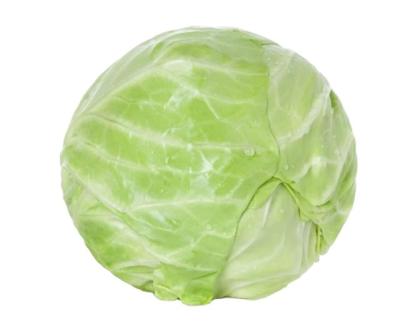 China fresh fresh cabbage chinese cabbage for sale