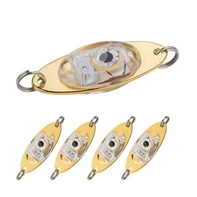 China Aomatically Turn On And Turn Off TOPIND Led Fishing Spoons Deep Drop Underwater Flasher Light Led Fishing Lures For Installation for sale