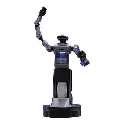 Cina Locomozione bipedale sollevabile CNGBS 20+ articolazioni Intelligenti Robot umanoidi commerciali AI Robot Robot umano in vendita