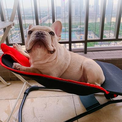 China 2021 Waterproof Hot Selling Funny Folding Travel Novelty Dog Sleep Bed Rocking Chair Beds Accessories for sale