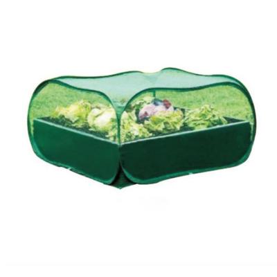 China Foldable pop up mini greenhouse for sale