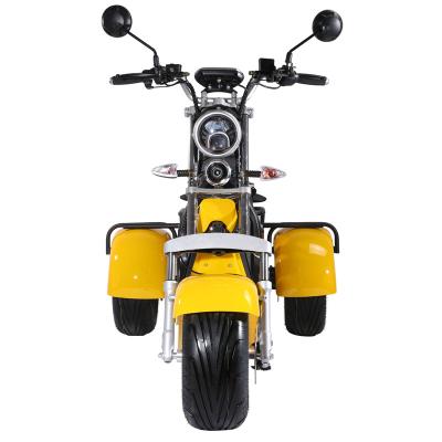 China Factory Price Citycoco 3 Wheel Door To Door Shipping Motorcycle 18*9.5inch for sale