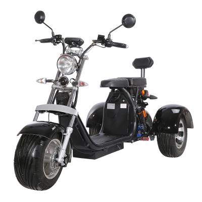 China Carbon Steel Three Wheel Electric Passenger Tricycle For Adults Elderly Include Customs And Taxes To EU for sale