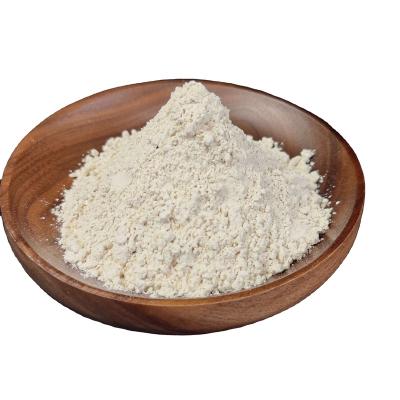 China Food Addtive Factory Wholesale Price NON-GMO 80% 90% Rice Protein Powder As Food Additive for sale