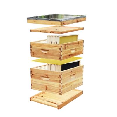 China Bee Farm 8/10 Views Langstroth Hive Kit 2 Layers Full Set Hive For Beekeeping for sale