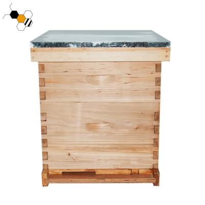 China Farms Langstroth Hive Beekeeping Hive Bee Box Beehive Beekeeping Equipment for sale