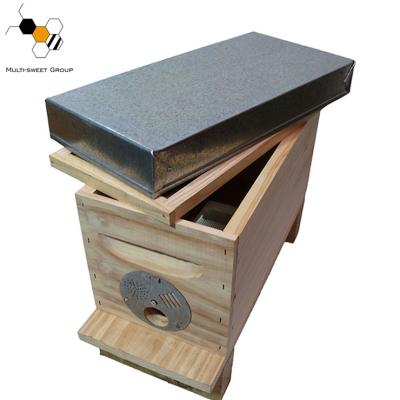 China Bee Farm March Expo Factory Price China Fir Nuc Box Wooden Bee Box For Sale for sale