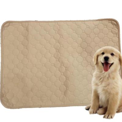 China Waterproof Dog Pee Pads Washable Waterproof Reusable Large Pet Training Pads Dog Cats Mat with modern rug design for sale