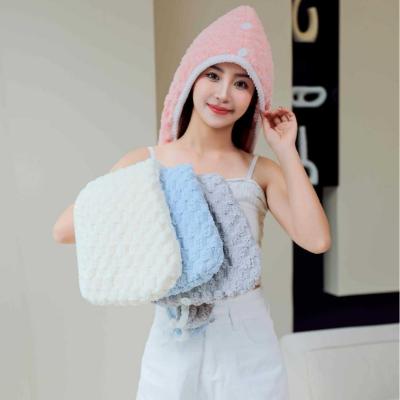 China Home Custom Logo Microfiber Hair Dryer Towel for Quick Drying and Hair Care After Shower for sale