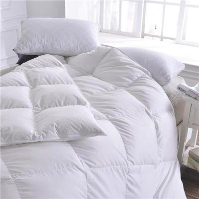 China Queen Size Fluffy Down Alternative Comforter Cooling and Reversible for Hotel Comfort for sale