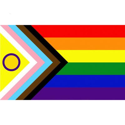 China Health Care Institutes Waterproof 90*150cm Large Size Lgbt Pride Rainbow Confederate Flag Gay Progress for sale