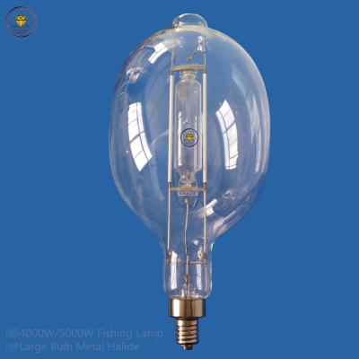 China High Quality Fishing and Flood Light BT290 MH Metal Halide Fishing Lamp 220v 230V 4000w 5000w AC On Boat Lighting for sale