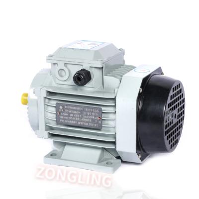 China Factory Price Totally Enclosed Three Phase Y2 Series 2/4/6 Pole 1 Hp 2 Hp 3 Phase Electric Motors 3 Hp for sale