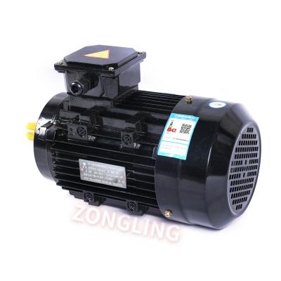 China Totally Enclosed Series Y2 2/4/6 Pole 48v Totally Enclosed 50/60hz 3 Phase Ac Asynchronous Induction Electric Motor for sale