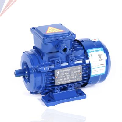 China YS IE1/IE2/IE3 Totally Enclosed Three Phase Asynchronous Electric Motor 0.5Hp 0.75Hp 1.5Hp 2Hp 3Hp 4Hp 5Hp 110v 220v for sale