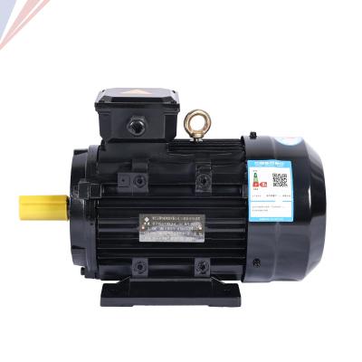 China Ys Series 2p/4p/6p 0.18kw~4kw 6 Pole Totally Enclosed Stable Flange Three Phase Induction 3 AC Electric Motor for sale